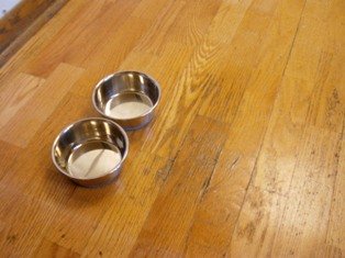 Dog Bowls Damaged Engineered Kitchen Wood Floor